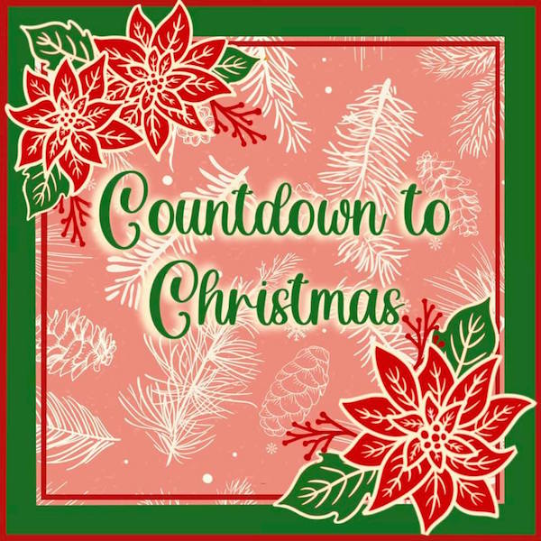 Our Countdown to Christmas Collection is Here!