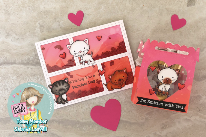 Smitten Kitten Card and Gift Box