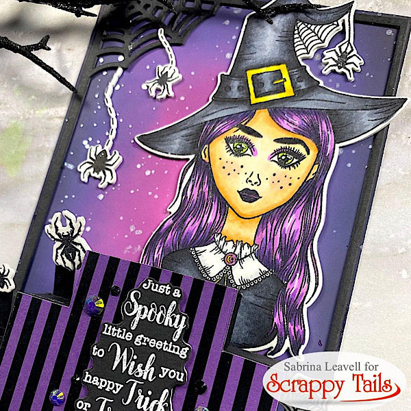 6x6 Spider Witch Stamp and Coordinating Die Set – Scrappy Tails Crafts