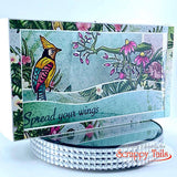 Spring Birds 6x8 Stamp Set