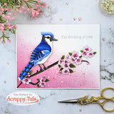 Save 5% A7 Birdhouse Pop Up Card Metal Craft Die Bundle